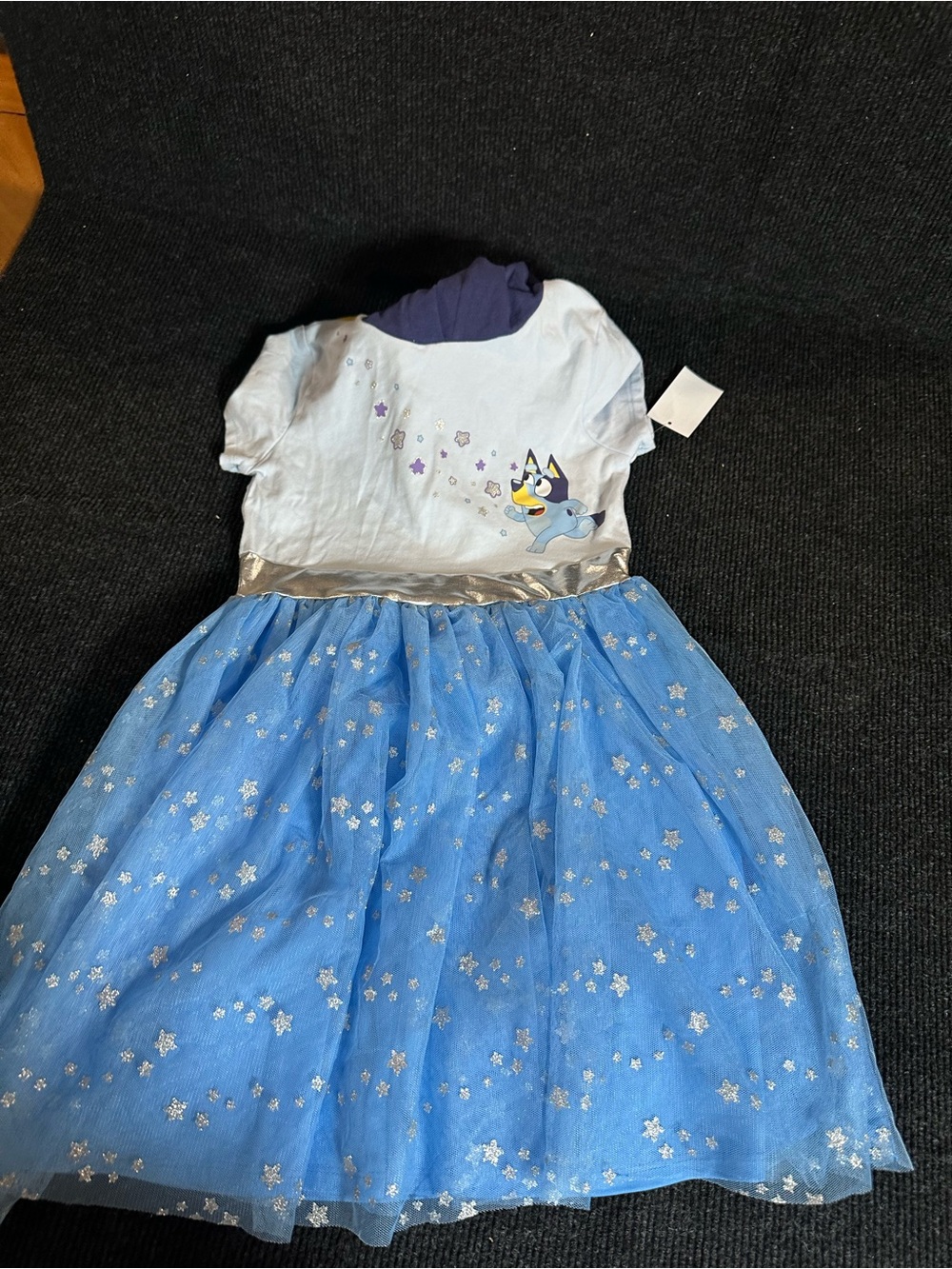 Blue Sparkle Tulle Dress with Bluey Character Print